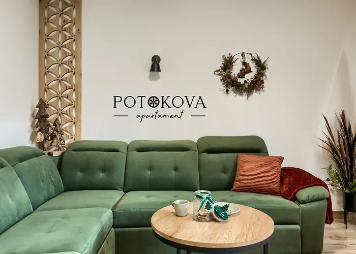 Potokova Apartament Centrum