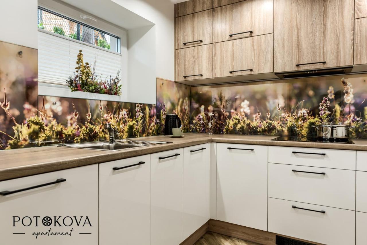 Apartmán Potokova Centrum Zakopane