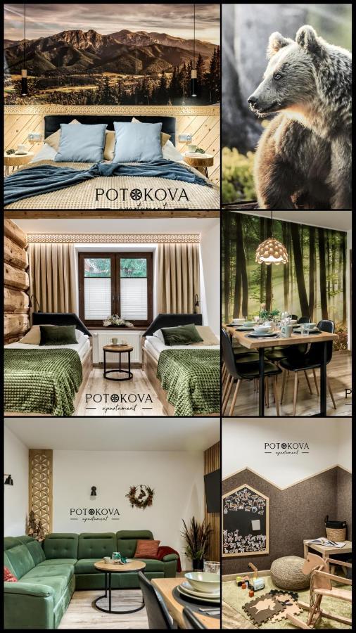 Potokova Centrum Apartment Zakopane